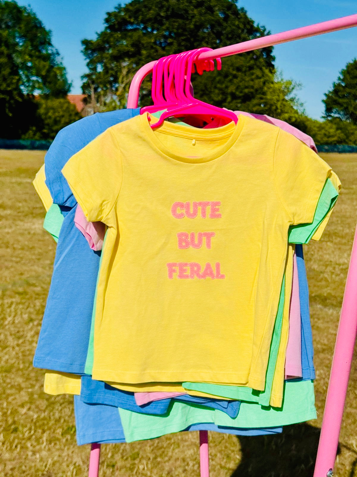 Pink Rail with colourful T-Shirts, The one at the front is yellow with cute but feral written in a pink font